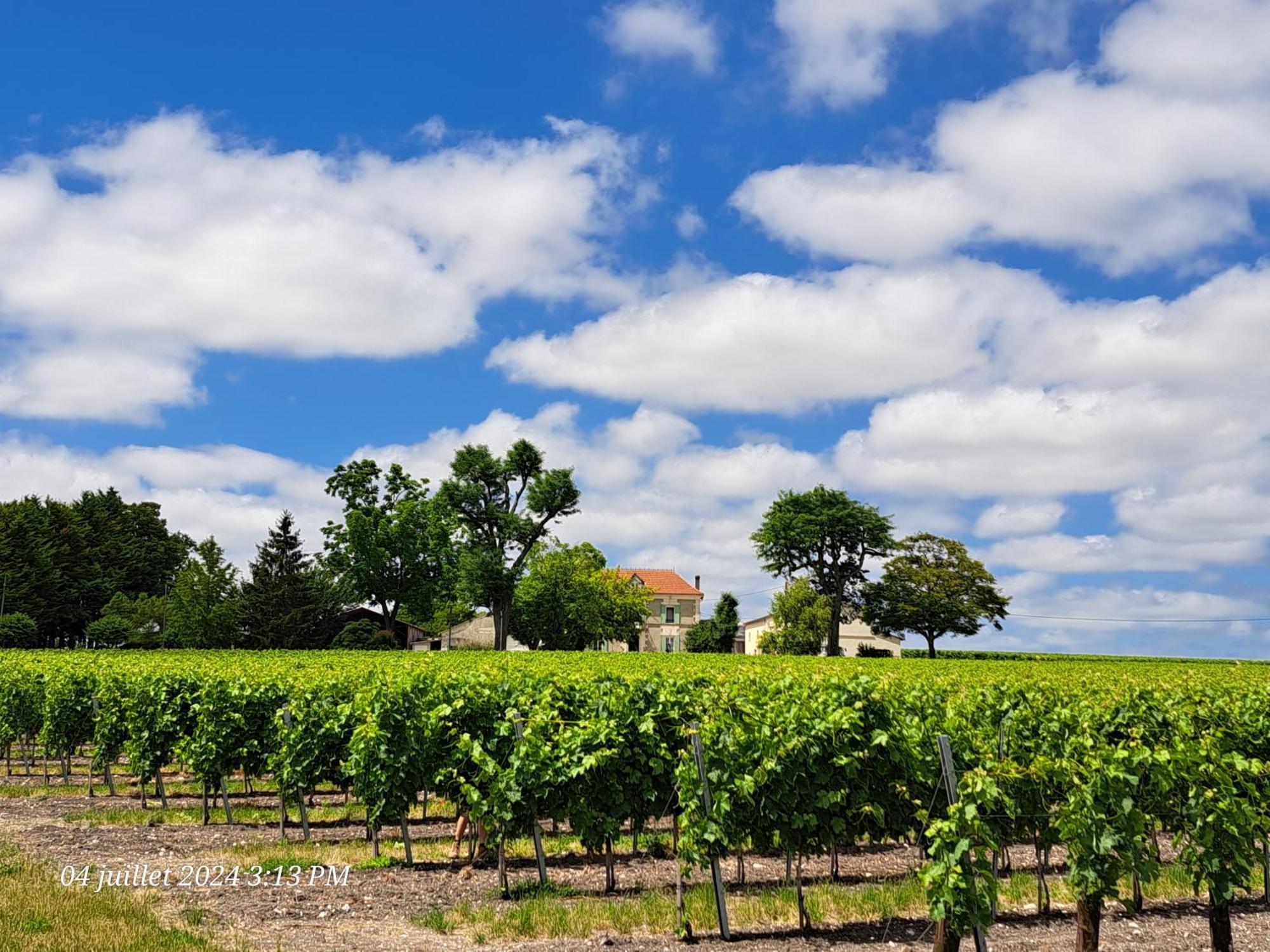 Апартаменты La Metairie Au Milieu Des Vignes Reaux Экстерьер фото