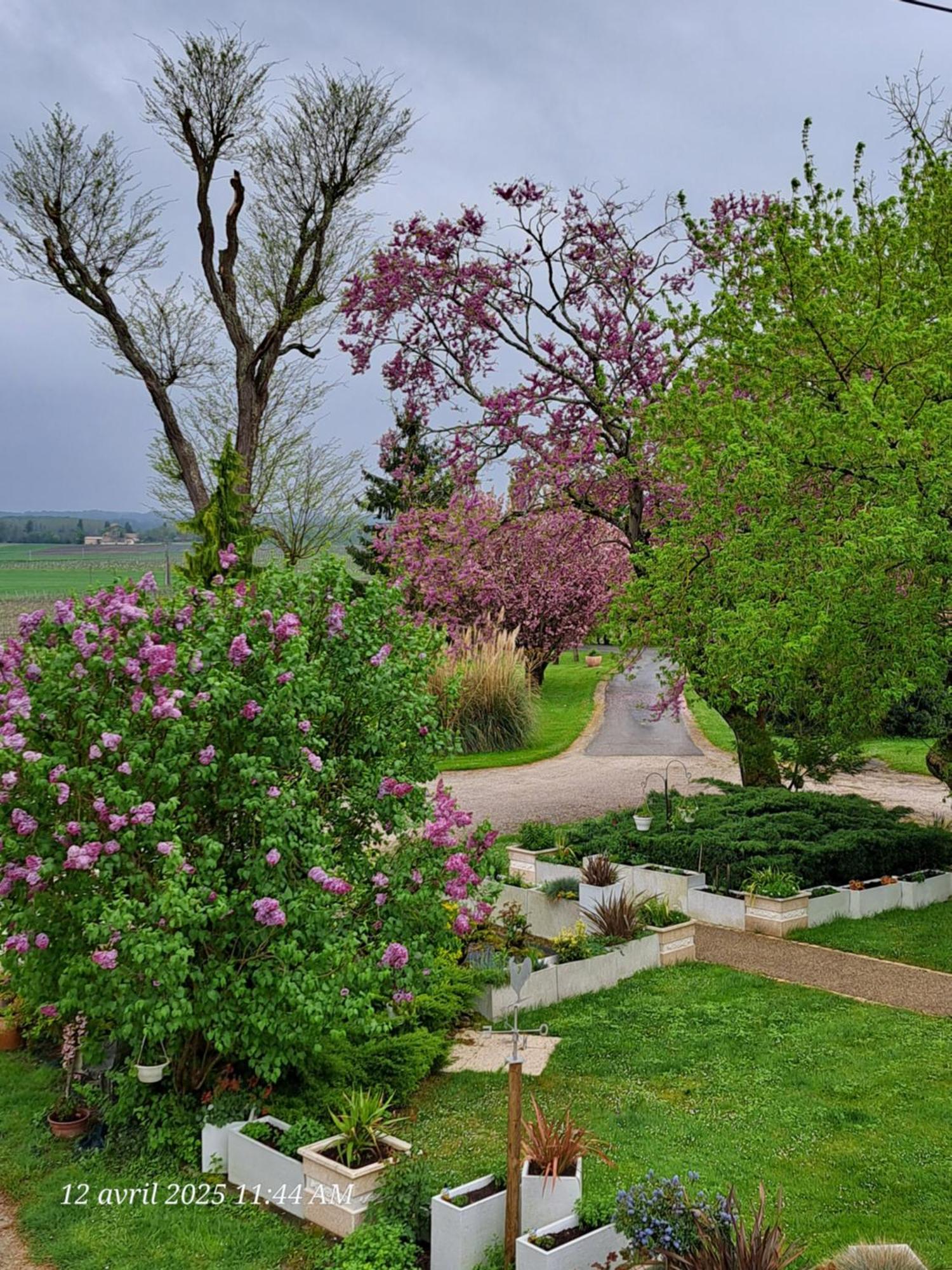 Апартаменты La Metairie Au Milieu Des Vignes Reaux Экстерьер фото