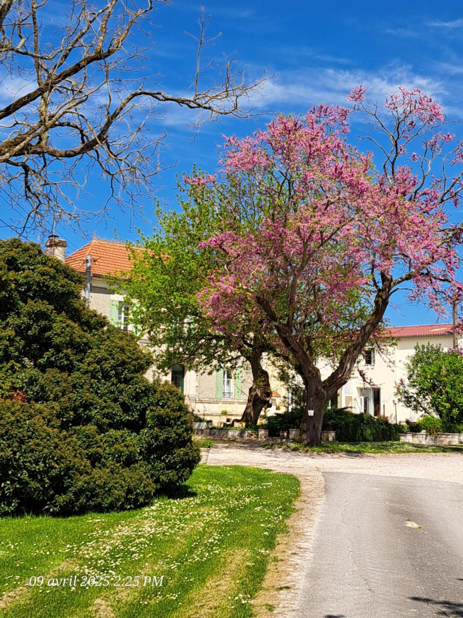 Апартаменты La Metairie Au Milieu Des Vignes Reaux Экстерьер фото